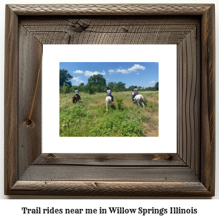 trail rides near me in Willow Springs, Illinois